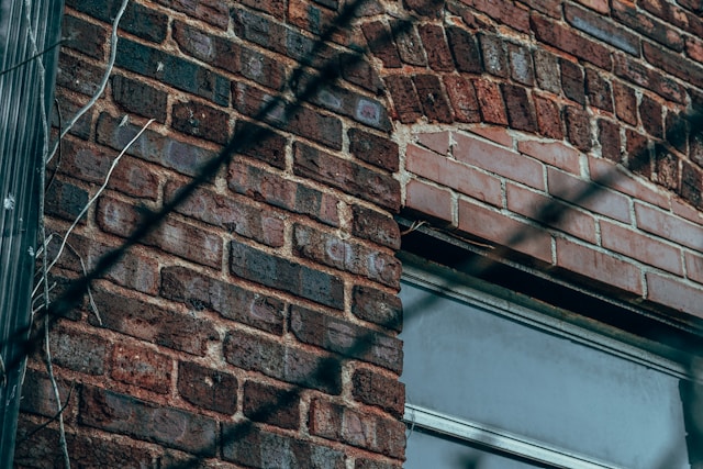 תביעת דייר סרבן